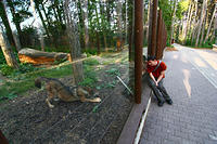 IMG 4025